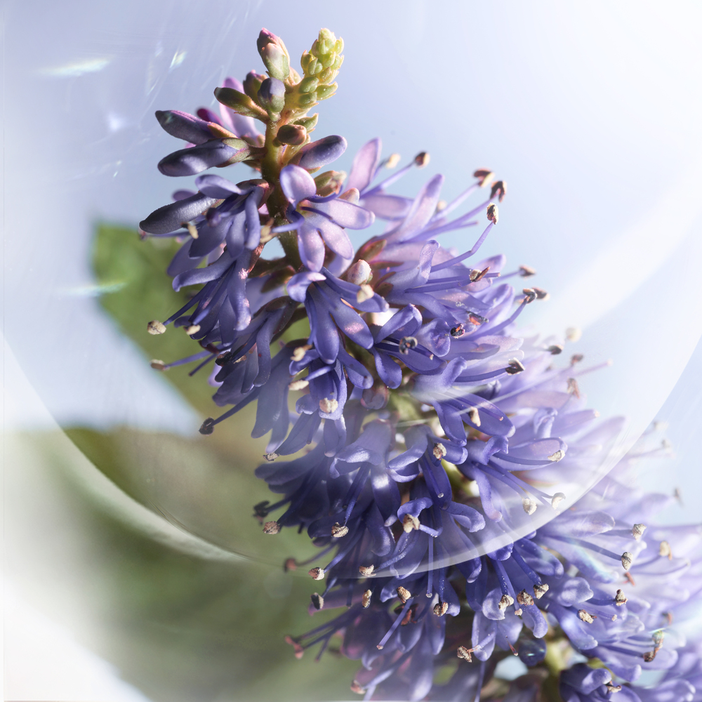 Lancôme - Set Design by RÉMI LE GARREC