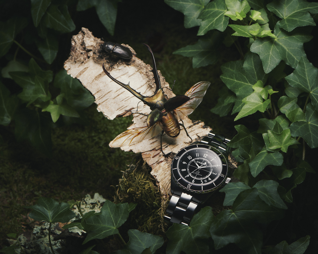 NOVEMBRE MAGAZINE - Set Design by ANNA PIASEK