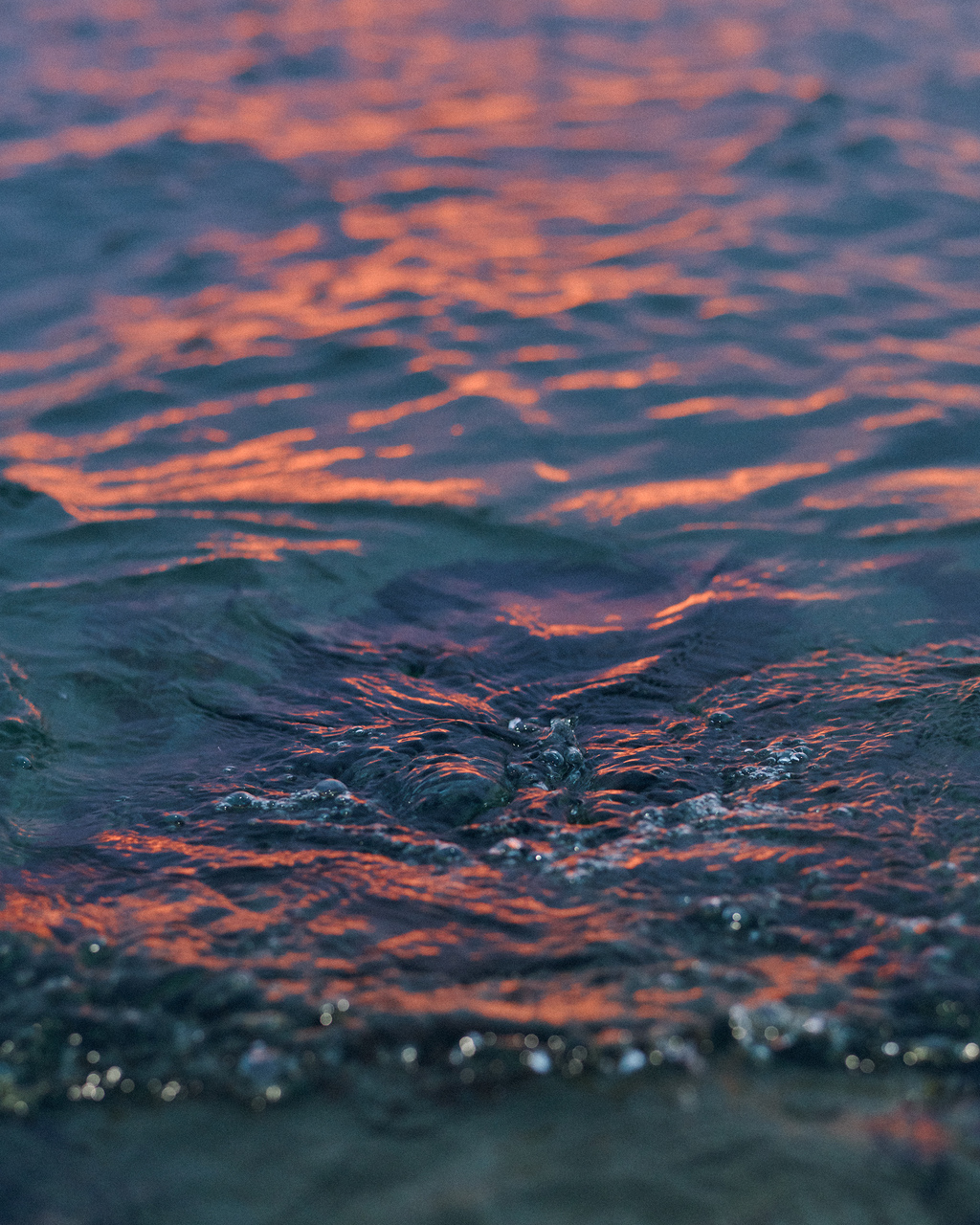 INDEX - Photography by VICTORIA ZSCHOMMLER