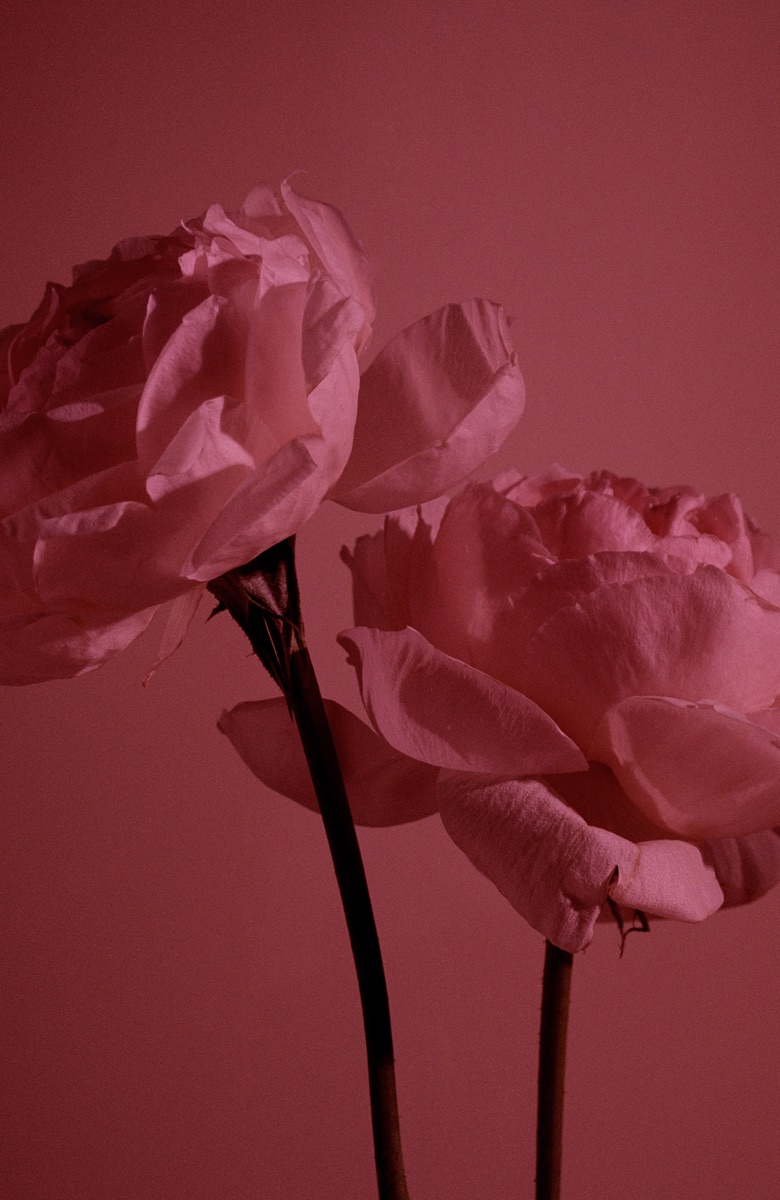 Burberry Fragrance - Photography by VICTORIA ZSCHOMMLER