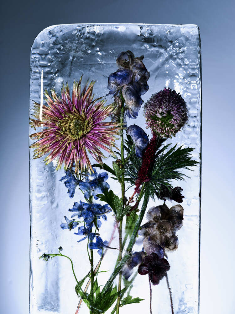 VILHELM - Set Design by RÉMI LE GARREC