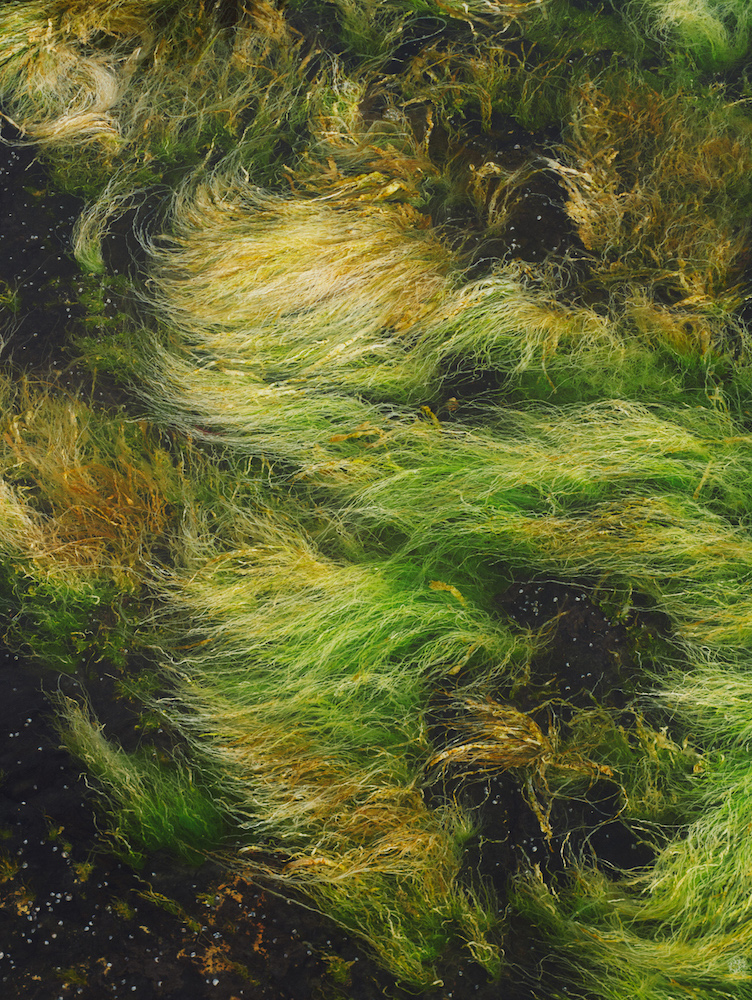 LA MER - Photography by VICTORIA ZSCHOMMLER