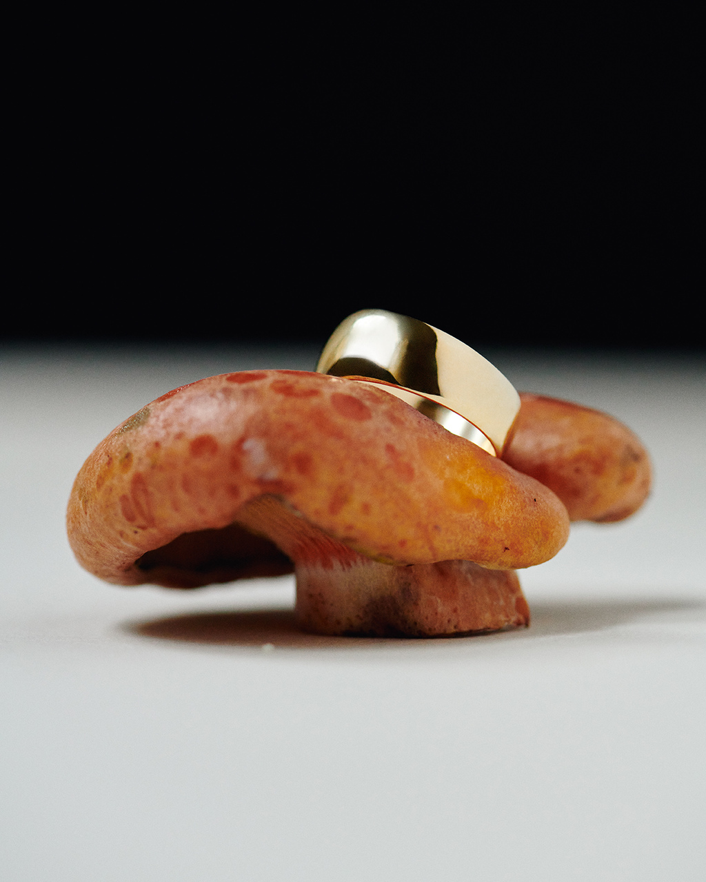 ONE MAGAZINE - Photography by VICTORIA ZSCHOMMLER