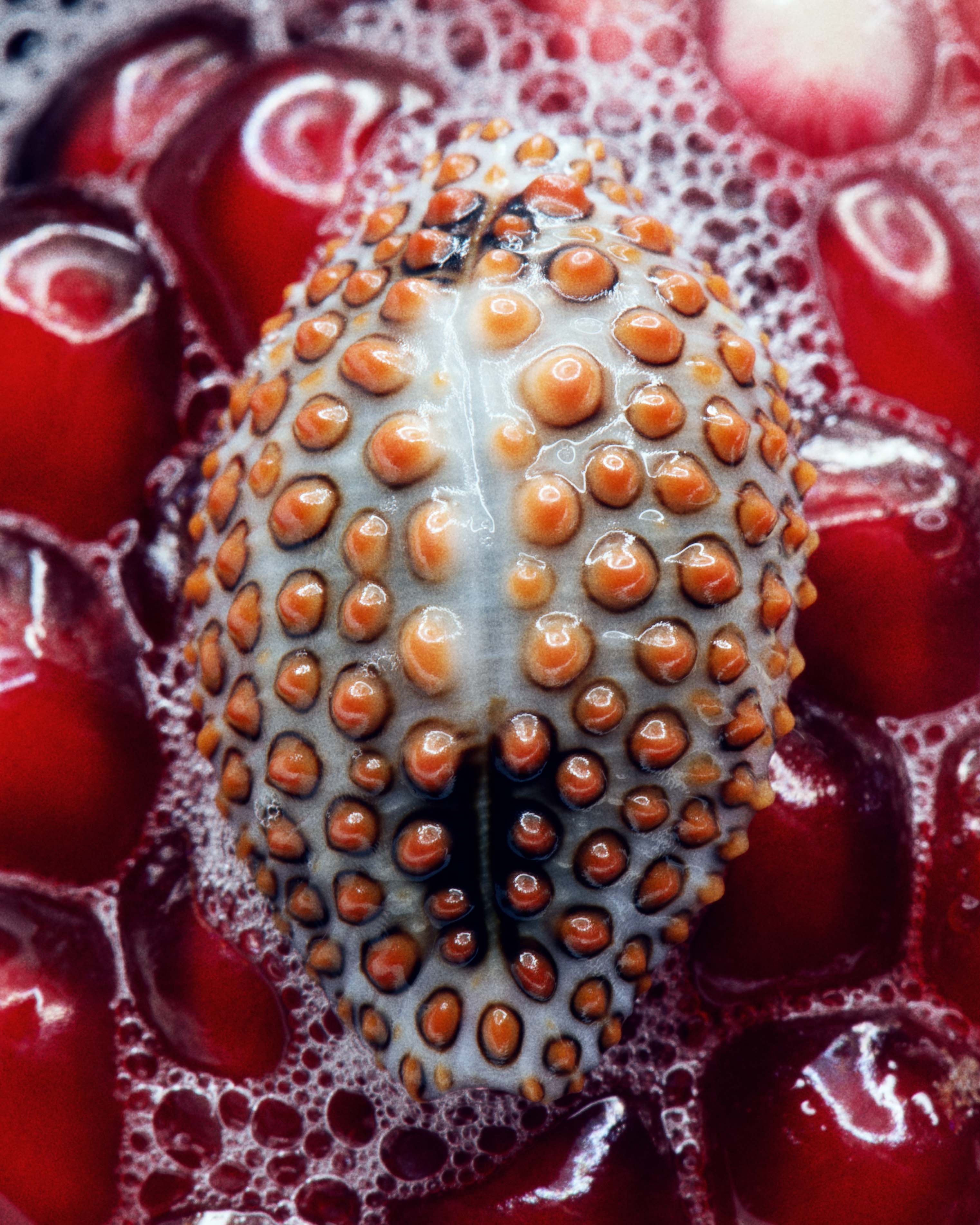 Ferragamo - Set Design by ANNA SBIERA