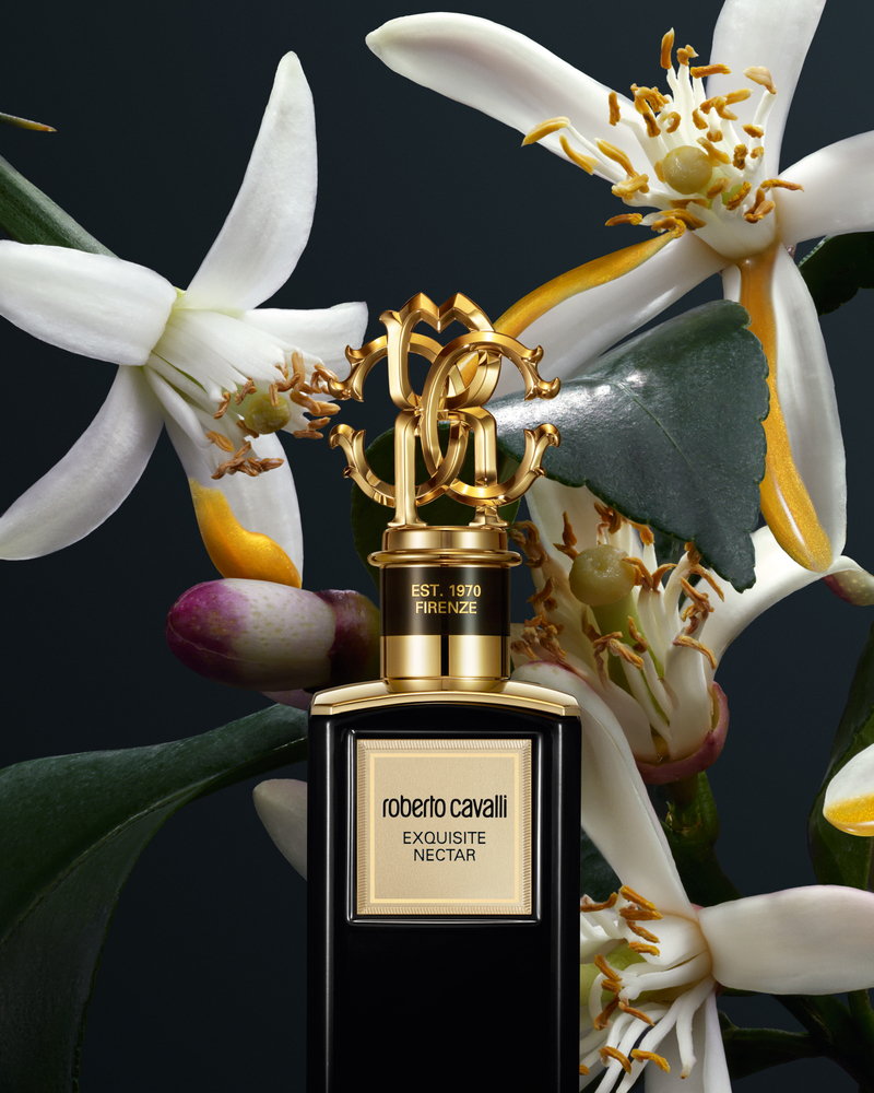 Roberto Cavalli - Set Design by RÉMI LE GARREC