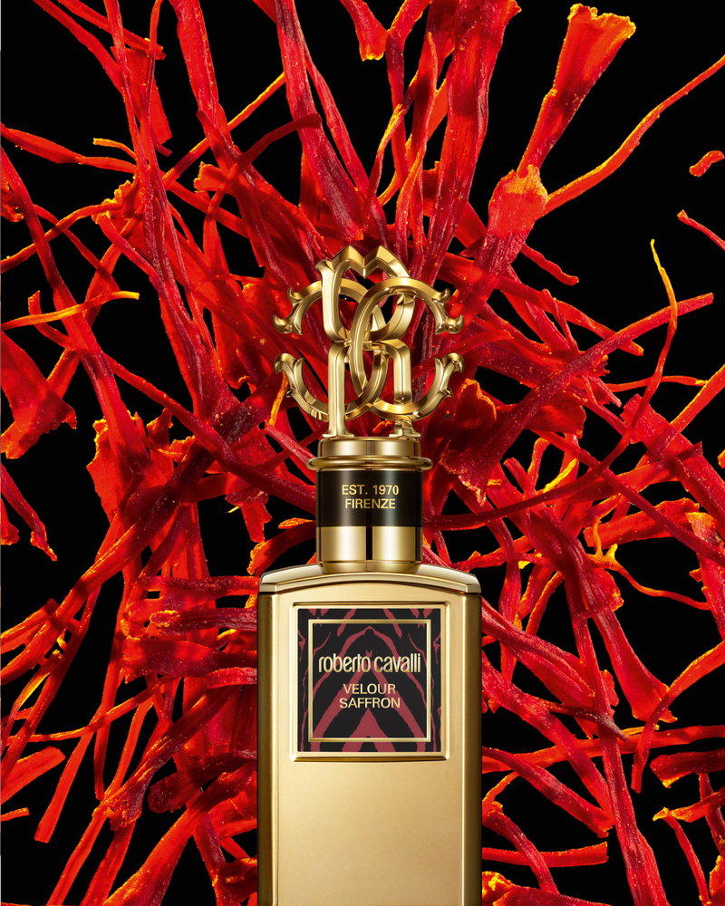 Roberto Cavalli - Set Design by RÉMI LE GARREC