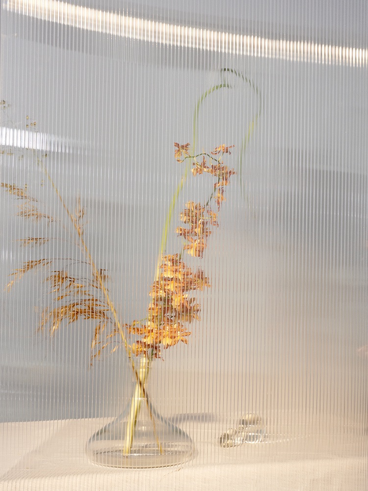 Flowers - Photography by VICTORIA ZSCHOMMLER