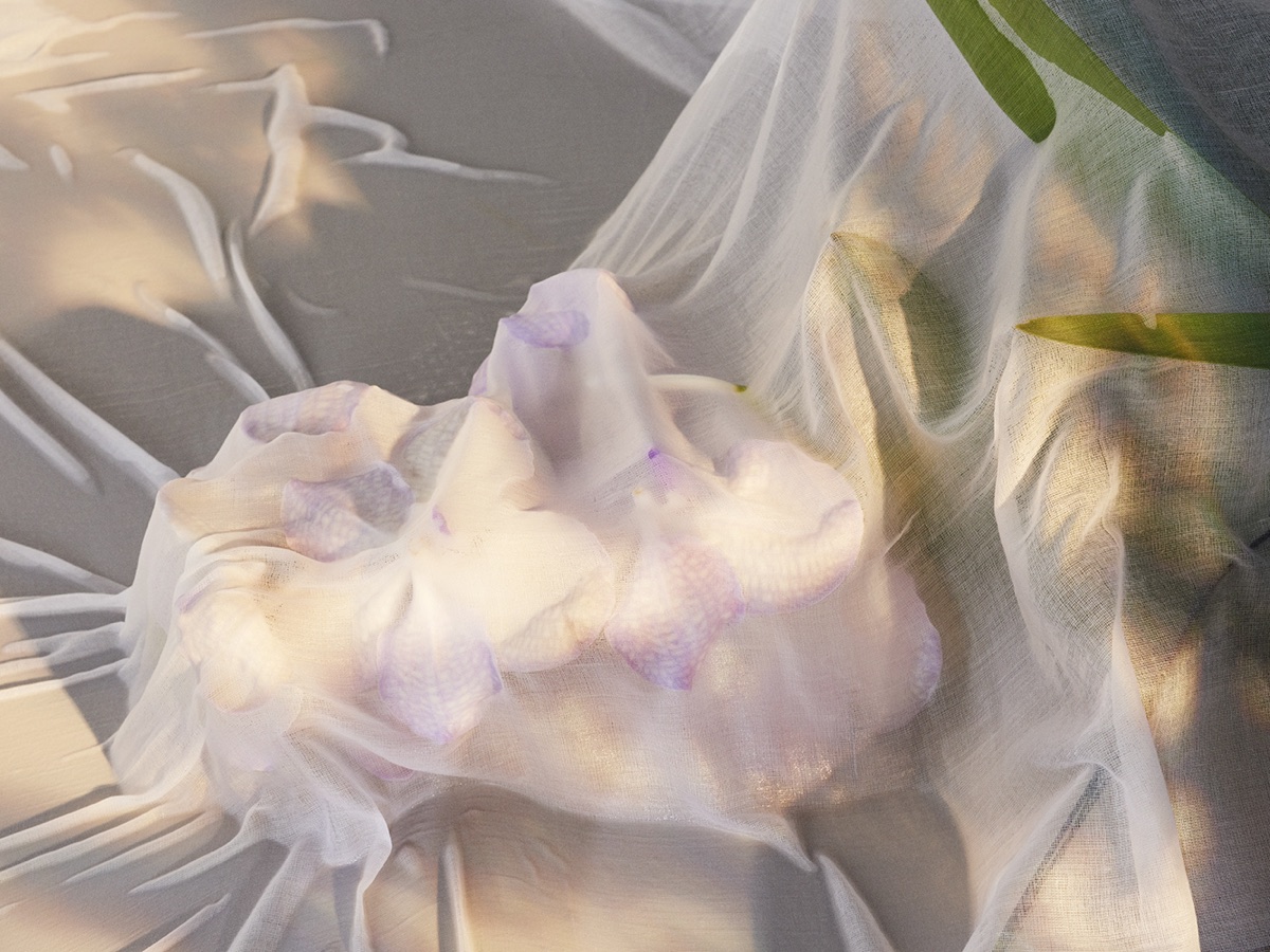 Flowers - Photography by VICTORIA ZSCHOMMLER