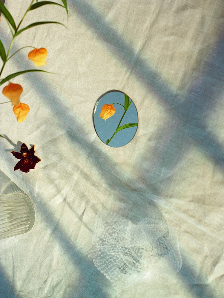 Flowers - Photography by VICTORIA ZSCHOMMLER