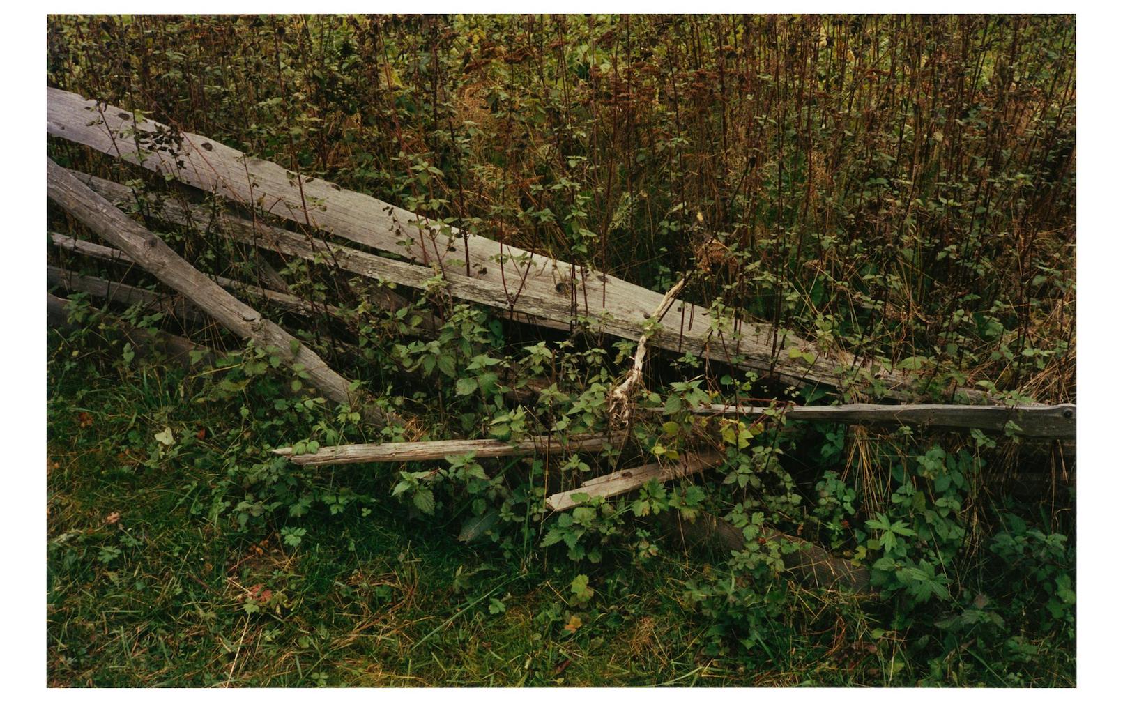 ROMANIA IT STARTED WITH AN END - Photography by EDWARD LANE