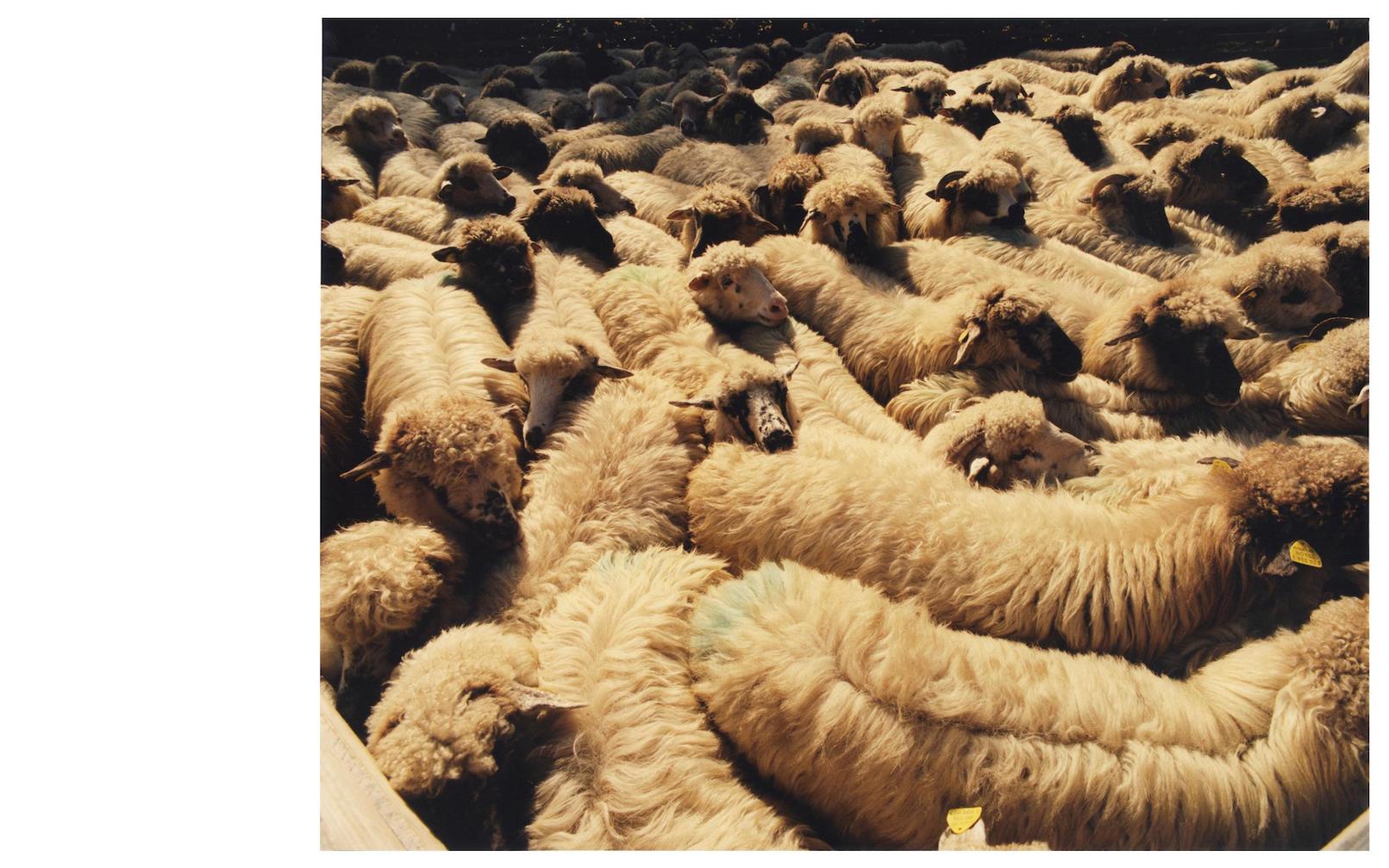 ROMANIA IT STARTED WITH AN END - Photography by EDWARD LANE