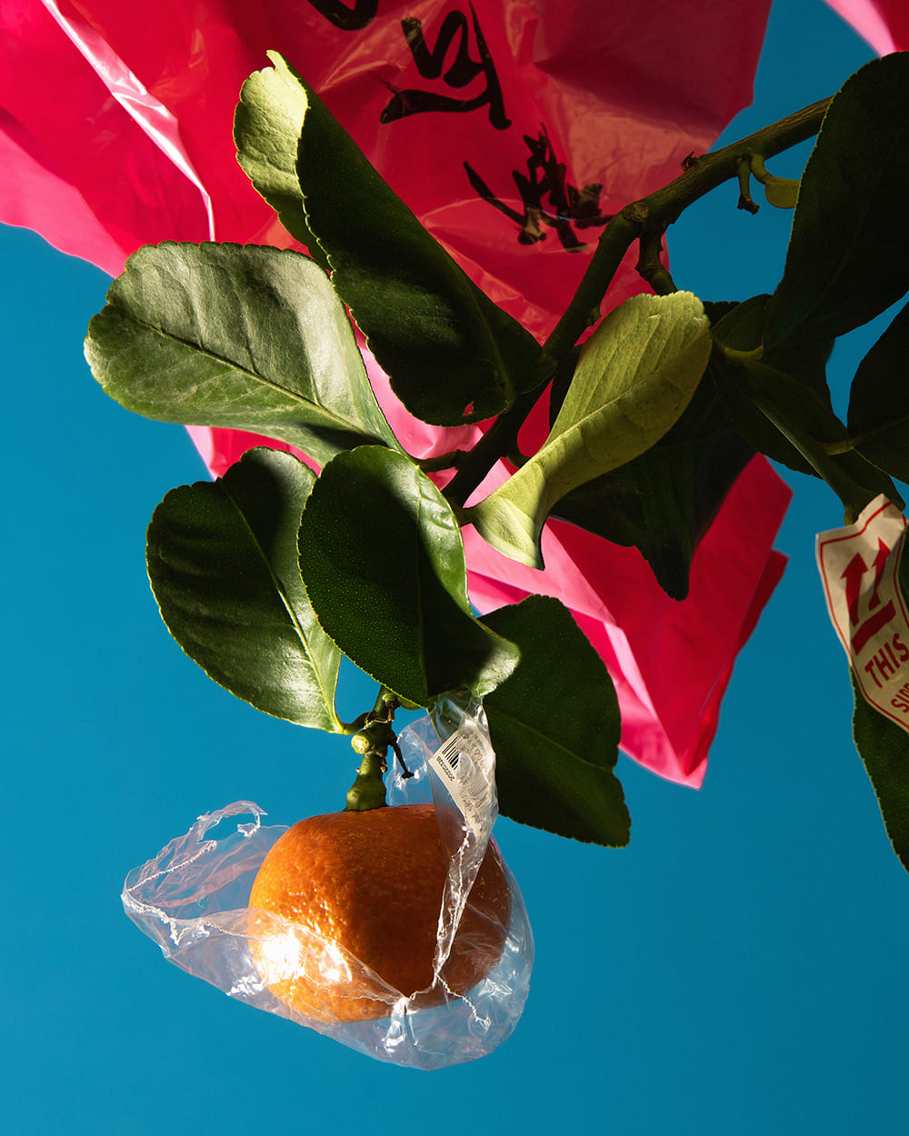 THE FORUMIST - Photography by PIERRE TOSTAIN